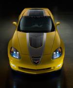 Chevrolet Corvette GT1 Championship edition 2009 года